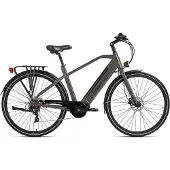 Hollandia "Mantova" 7 Gang Shimano Tourney Schaltwerk Kettenschaltung Mittelmotor 250 W Pedelec, Elektrofahrrad für Damen u. Herren