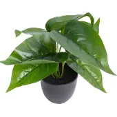 Botanic-Haus Künstliche Zimmerpflanze "Philodendron"