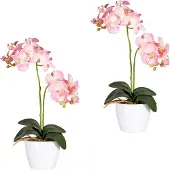 Creativ Green Kunstpflanze "Phalaenopsis"