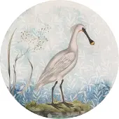 Komar Fototapete "Vlies selbstklebend - Spoonbill - Größe 125 x 125 cm" bedruckt glatt Wohnzimmer, Schlafzimmer