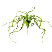 Creativ Green Kunstranke "Tillandsien-Hänger"