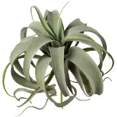 Creativ Green Kunstpflanze "Tillandsie"