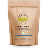 Biotiva Chaga Pilz Pulver Bio 125 g