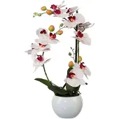 Creativ Green Kunstpflanze "Phalaenopsis"