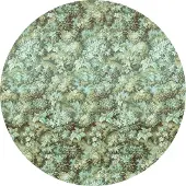 Komar Vliestapete "Vlies selbstklebend - Greenery - Größe 125 x 125 cm" bedruckt glatt Wohnzimmer, Schlafzimmer