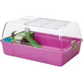Nobby Rody Hamsterheim