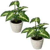 Creativ Green Künstliche Zimmerpflanze "Blattpflanze Syngonium" im Zementtopf, 2er Set