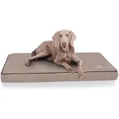 Knuffelwuff Orthopädische Hundematte Juna 1 St