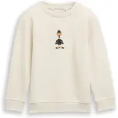 Tom Tailor Sweater, mit Dino-Print