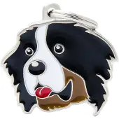 My Family Berner Dog Tag
