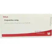 Wala Conjunctiva comp.Ampullen 10x1 ml Ampullen