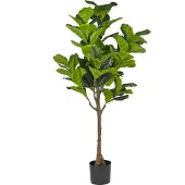 Beliani Fig Tree