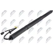 NTY AE-PS-008 Gasfeder Heckklappendämpfer für PORSCHE Cayenne (9YA)