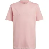 Adidas Kinder Shirt ALL SZN Graphics Kids