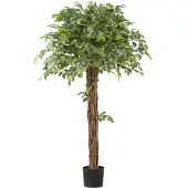 Creativ Green Kunstpflanze "Ficus benjamina" mit lianenartigem Stamm