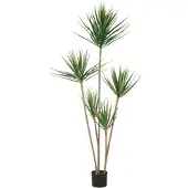 Creativ Green Kunstpflanze "Dracaena draco" mit 5 Stämmen