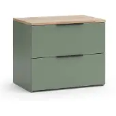Vicco Kommode Wido Grün 60 x 50 cm mit 2 Schubladen, Model 56607