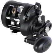 Penn Rival II Level Wind 15 SD Reel LH - linkshand Multirolle