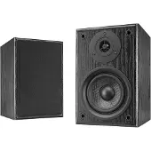 Dual Aktiv-Lautsprecher LS 100