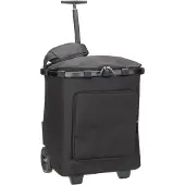 Reisenthel Carrycruiser Plus frame black