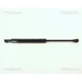 TRISCAN Gasfeder, Motorhaube 8710 11107