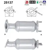 As Katalysator für KIA 289502BBB0 25137