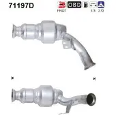 As Katalysator 71197D
