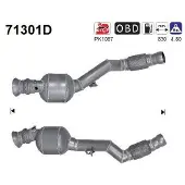 As Katalysator 71301D