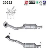 As Katalysator 30222