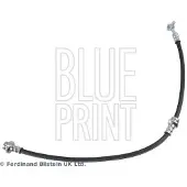Blue Print Bremsschlauch ADBP530033