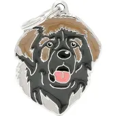 My Family MyFa tegn friends, Leonberger