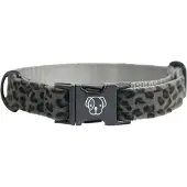 Kentucky Leopard Hundehalsband