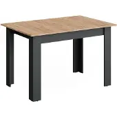 Vicco Esstisch Repose Anthrazit/Goldkraft Eiche 120-160 x 80 cm ausziehbar, Model 55777