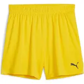 Puma teamGOAL Handball Shorts W