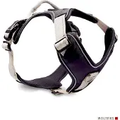 Wolters Active Pro Geschirr 30 mm champagner 40 - 47 cm