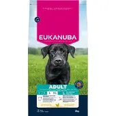 Eukanuba Adult Large Breeds Chicken 3 kg Trockenfutter für große Hunderassen mit frischem Huhn