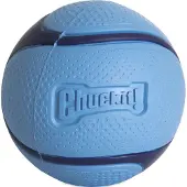Chuckit! Sniff Fetch Bal Bacon Geur Blauw