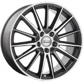 CMS C23