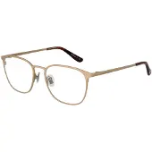 Superdry Brillenfassung SDO-2018 001 50
