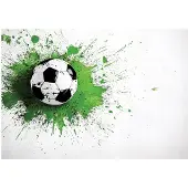 WALLARENA FOTOTAPETE Kinderzimmer Junge Fußball 350x250