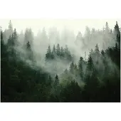 WALLARENA Fototapete Wald Nebel in Grün Vlies Tapete | Gr.: 150 x 105 cm