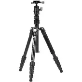 Fotopro X-go Gecko E2 Stativ mit FPH-42QP Kugelkopf