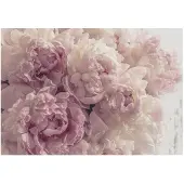 WALLARENA FOTOTAPETE Blumen Schlafzimmer 150x105