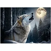 WALLARENA FOTOTAPETE Wolf Wald Tiere 400x280