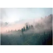WALLARENA Fototapete Wald in Grau | Gr.: 200 x 140 cm