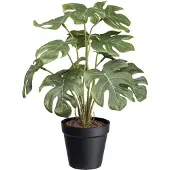 Creativ Green Künstliche Zimmerpflanze "Splitphilodendron" mit schönen Blättern