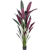 Creativ Green Künstliche Zimmerpflanze "Stromanthe Thalia" mit grün-rotem Blattwerk
