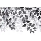 WALLARENA FOTOTAPETE Blätter Schwarz Weiß Wohnzimmer 150x105