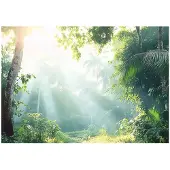 WALLARENA FOTOTAPETE Wald Bäume Natur Vlies Tapete Wohnzimmer 200x140