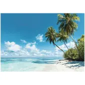 WALLARENA FOTOTAPETE 3D Effekt Strand Meer Palmen Hawaii 400x280